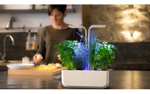 Véritable SMART - Potager d'intérieur