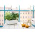 Véritable SMART - Potager d'intérieur