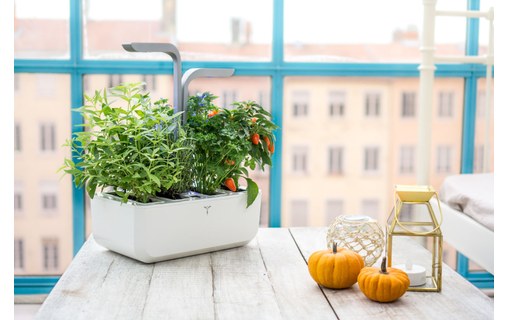 Véritable SMART - Potager d'intérieur