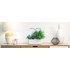 Véritable SMART - Potager d'intérieur
