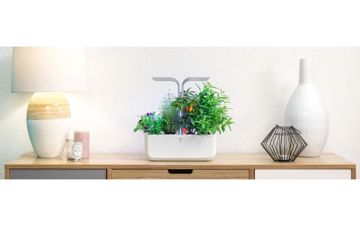 Véritable SMART - Potager d'intérieur