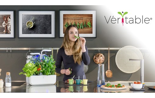 Véritable SMART - Potager d'intérieur