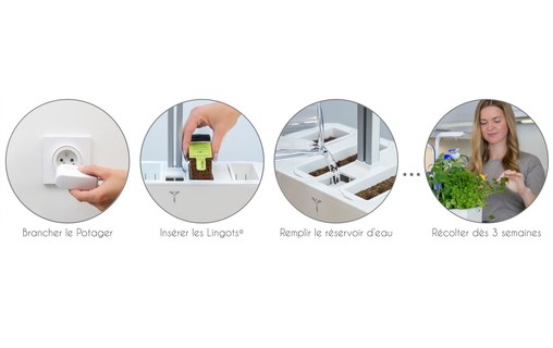 Véritable SMART - Potager d'intérieur