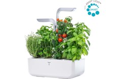 Véritable SMART - Potager d'intérieur