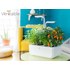 Véritable SMART - Potager d'intérieur