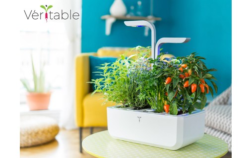 Véritable SMART - Potager d'intérieur