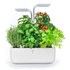 Véritable SMART - Potager d'intérieur