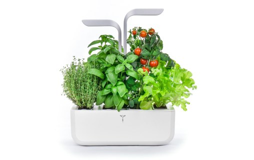 Véritable SMART - Potager d'intérieur