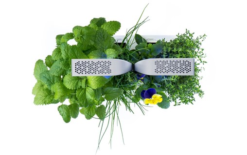 Véritable SMART - Potager d'intérieur