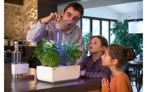 Véritable SMART - Potager d'intérieur