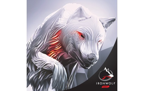 Seagate IronWolf 12 To - Disque dur 7200 tr/min pour NAS - ST12000VN0008