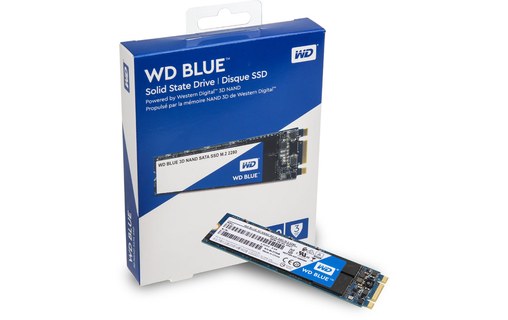 Western Digital Blue 3D M.2 250 Go