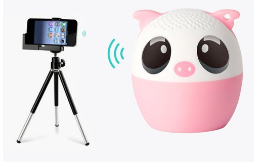 Animal Bluetooth Speaker My Pig