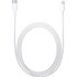 Câble Apple Lightning vers USB-C 1m - MQGJ2ZM/A