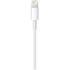 Câble Apple Lightning vers USB-C 1m - MQGJ2ZM/A