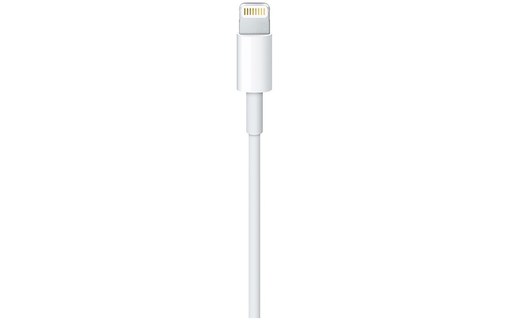 Câble Apple Lightning vers USB-C 1m - MQGJ2ZM/A