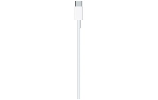 Câble Apple Lightning vers USB-C 1m - MQGJ2ZM/A
