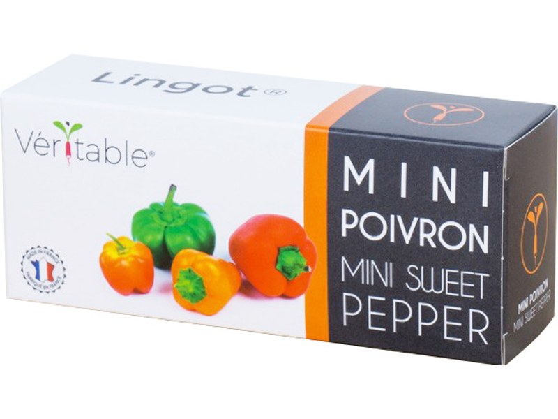 Véritable Lingot Mini Tomates Rouges pour potager d'intérieur