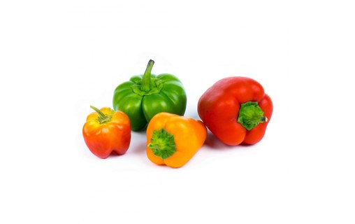 Véritable Lingot Mini Poivron rouge pour potager d'intérieur