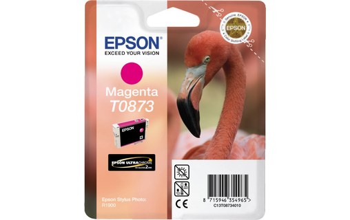 Epson T873 - Encre Magenta stylus R1900
