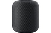 Apple HomePod Gris Sidéral