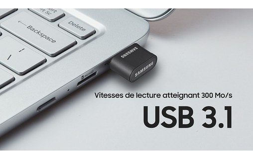 Clé USB Samsung Fit Plus 256 Go - Argent, Gris - USB 3.2