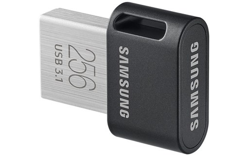 Clé USB Samsung Fit Plus 256 Go - Argent, Gris - USB 3.2