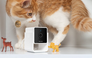 Caméra chat et chien