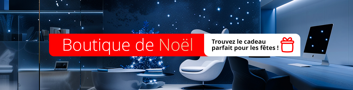 Boutique de Noël st