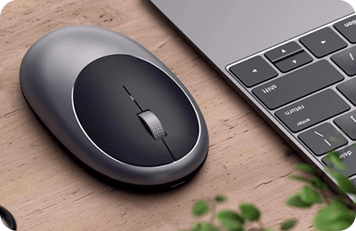 Souris