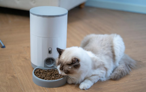 Distributeur de croquettes